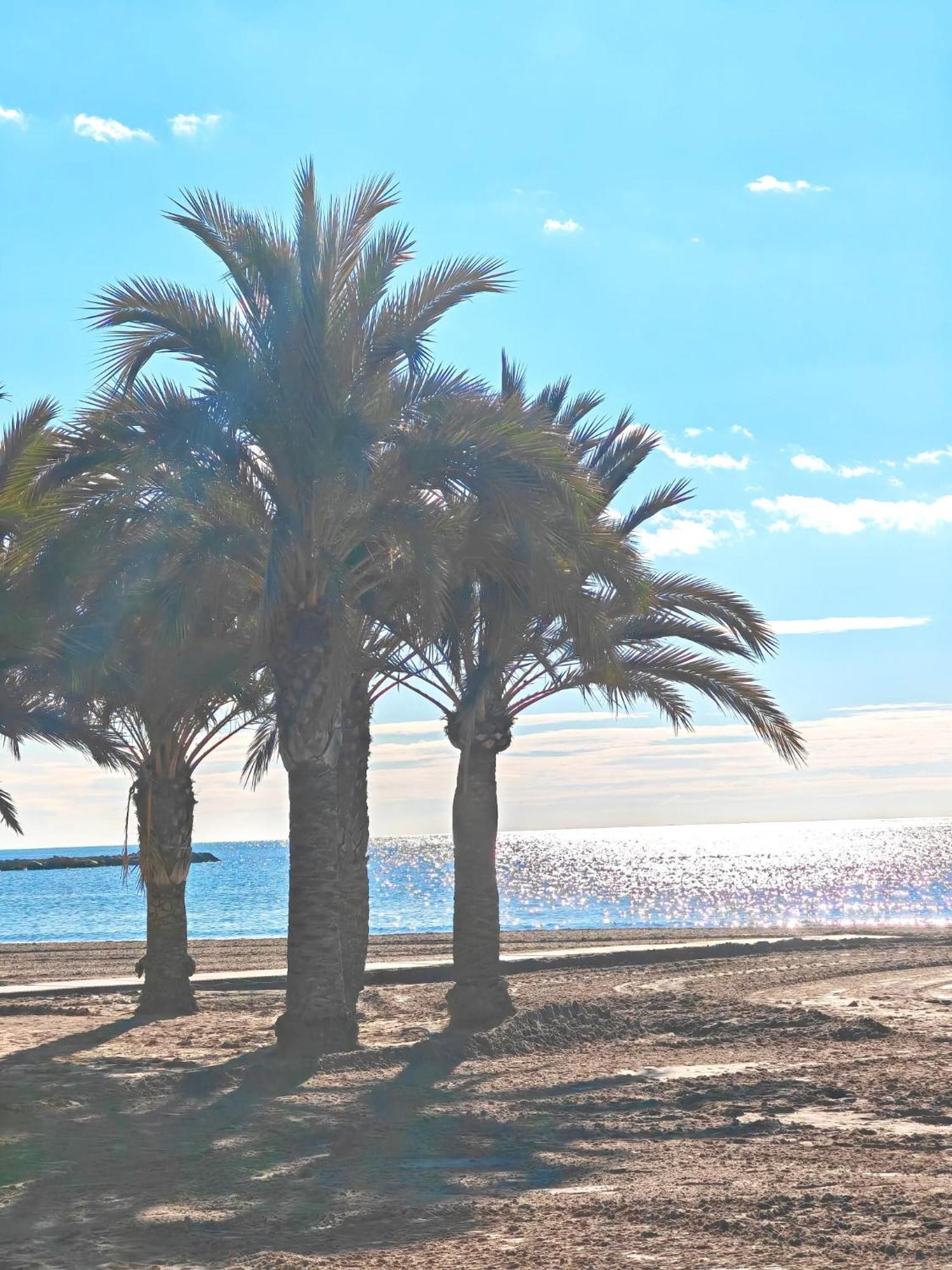 Apartamento San Pedro Con Ascensor Y Playa Santa Pola Exterior foto